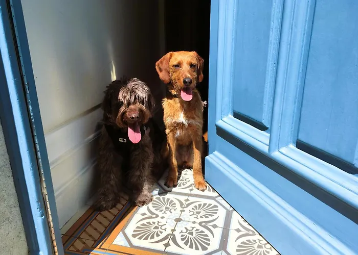 C'est Maison Bleue - A Blue In