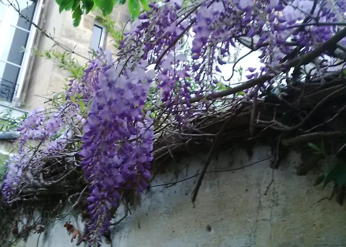 C'est Maison Bleue - A Blue In Alojamento de Acomodação e Pequeno-almoço Bordéus