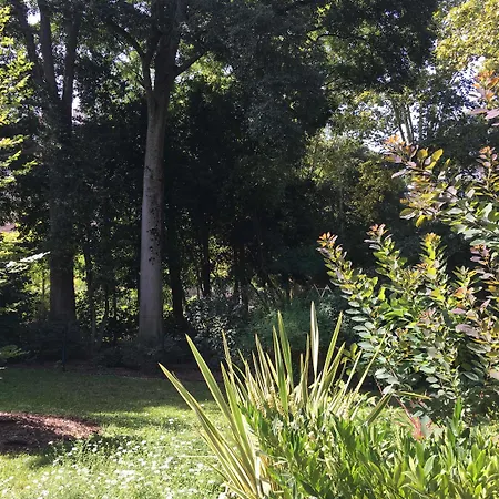 Frühstückspension C'est Maison Bleue - A Blue In