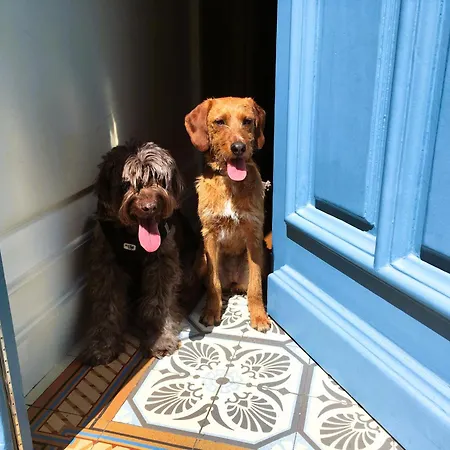 C'est Maison Bleue - A Blue In