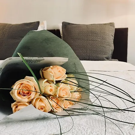 C'est Maison Bleue - A Blue In