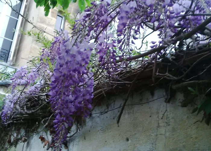 C'est Maison Bleue - A Blue In 3*