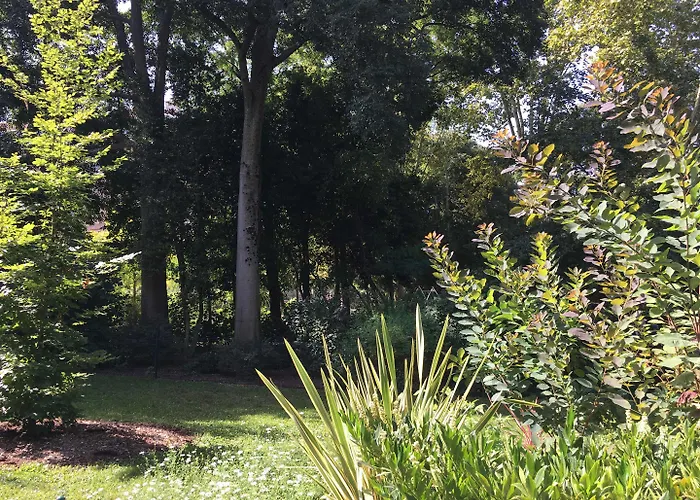 Frühstückspension C'est Maison Bleue - A Blue In